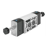 شیر نامور فستو